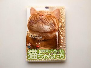 22b# кошка . чай ..-.. кошка Chan ..(DVD)