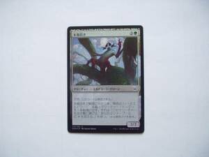 バイン　MTG 末裔招き/Scion Summoner foil 日本語1枚