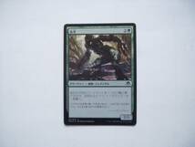 バイン　MTG 血茨/Bloodbriar foil 日本語2枚_画像1