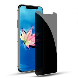 iPhone 11 6.1インチ iPhone XR 強化ガラス 3D曲面カバー 覗き防止 のぞき防止 プライバシー保護 2.5D K521