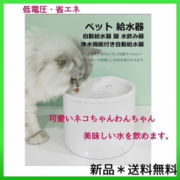 ペット給水器 自動給水器 2.5L大容量 猫 犬 小動物 限定一個