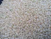 新米山口県山口市阿東米 コシヒカリ玄米約1キロ 有機肥料栽培 食味優先_画像2
