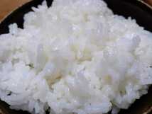 新米山口県山口市阿東米 コシヒカリ玄米約1キロ 有機肥料栽培 食味優先_画像3