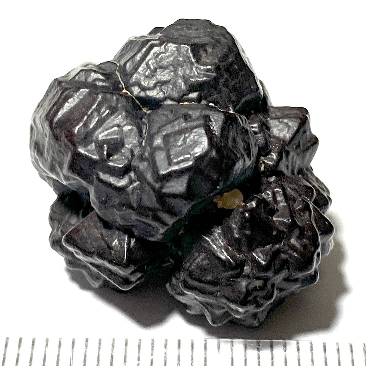 ゼットストーン Zストーン エジプト産 天然石 パワーストーン 原石 鉱物 - haitoyota.com.br ゼットストーン Zストーン エジプト産 天然石 パワーストーン 原石 鉱物 - haitoyota.com.br