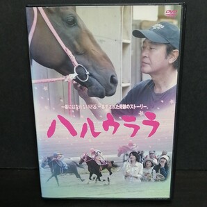 ハルウララ DVD レンタル落ち