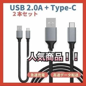 新品　充電ケーブル　Type C ケーブル　２本セット　20cm 100cm ケーブル