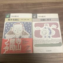 【難あり】寺山修司 ハルキ文庫 全12冊揃 愛さないの、愛せないの・赤糸で縫いとじられた物語・悲しき口笛・田園に死す・寺山修司詩集ほか_画像7