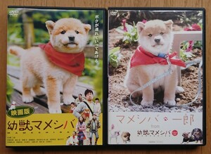 【レンタル版DVD】映画版 幼獣マメシバ + マメシバ一郎 from 幼獣マメシバ (メイキングDVD) 計2枚セット