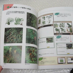 学研 マルチメディア図鑑 野外植物 PLANTS/大場達之 監修/CD-ROM付/学習研究社/2001年の画像4