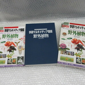 学研 マルチメディア図鑑 野外植物 PLANTS/大場達之 監修/CD-ROM付/学習研究社/2001年の画像1