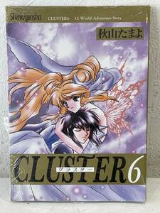 ★【希少本 A5ワイド版コミック】CLUSTER(クラスター) 6 秋山たまよ CLAMP(クランプ)★初版 新品・デッドストック 送料180円～