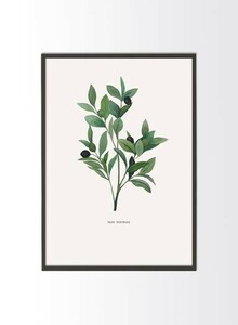 STUDIO FAZZOLETTO | BOTANICAL OLIVE | アートプリント/ポスター (50x70cm)【北欧 デンマーク シンプル おしゃれ】