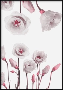 GLAM POSTERS | EUSTOMA FLOWER POSTER | アートプリント/ポスター (30x40cm)【北欧 リビング インテリア】