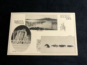 【戦前絵葉書・和歌山】和歌浦百景 海苔の栽培・根上り松・テンボガニ