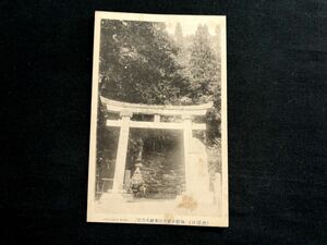 【戦前絵葉書・長野、岐阜】御嶽山 黒沢口 御嶽神社 里宮本社大鳥居