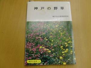 神戸の野草 神戸の自然9　 　QⅡ☆