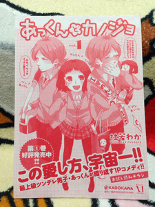 あっくんとカノジョ 社若わか お試し読みチラシ 小冊子 非売品 新品 未読品 未使用品 数9 希少 レア その他出品中