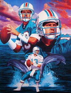 NFL ポスター 70x50cm アメリカン フットボール アメフト トム・ブレイディ スーパーボウル 海外 グッズ 雑貨 写真 絵 キャンバス アート 6