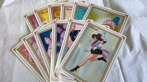 [ free shipping ] stock last! van Puresuto Pretty Soldier Sailor Moon SuperS jumbo Carddas part 2 12 kind set / 1995