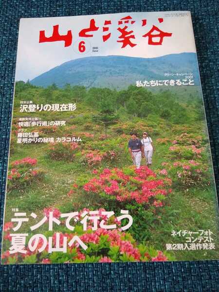 山と渓谷 2001年 6月 テントで行こう夏の山へ 沢登りの現在形 照葉樹林の奇跡の谷 渓谷遡行のハード・コア 星明りの秘境 藤田弘基 高桑信一