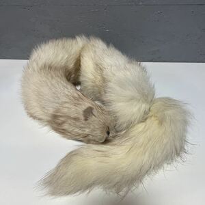 [2B22] mink muffler lady's fur 