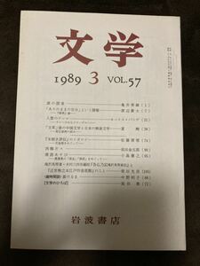 K101-17/文学 1989年3月 Vol.57 岩波書店 亀井秀雄 モーリス・パンゲ 夏剛 佐藤深雪 前田金五郎 小島憲之 柴田光彦 中野利子 