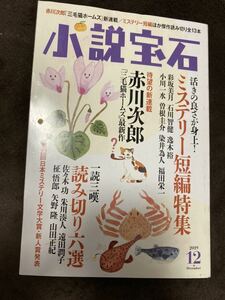 K108-2/小説宝石 2019年12月 赤川次郎 佐々木功 朱川湊人 遠田潤子 矢野隆 山田正紀 小川一水 曽根圭介 染井為一 福田栄一 石川智健