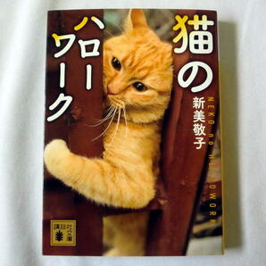 講談社文庫「猫のハローワーク」新美敬子 写真満載のかわいい猫のフォトエッセイ