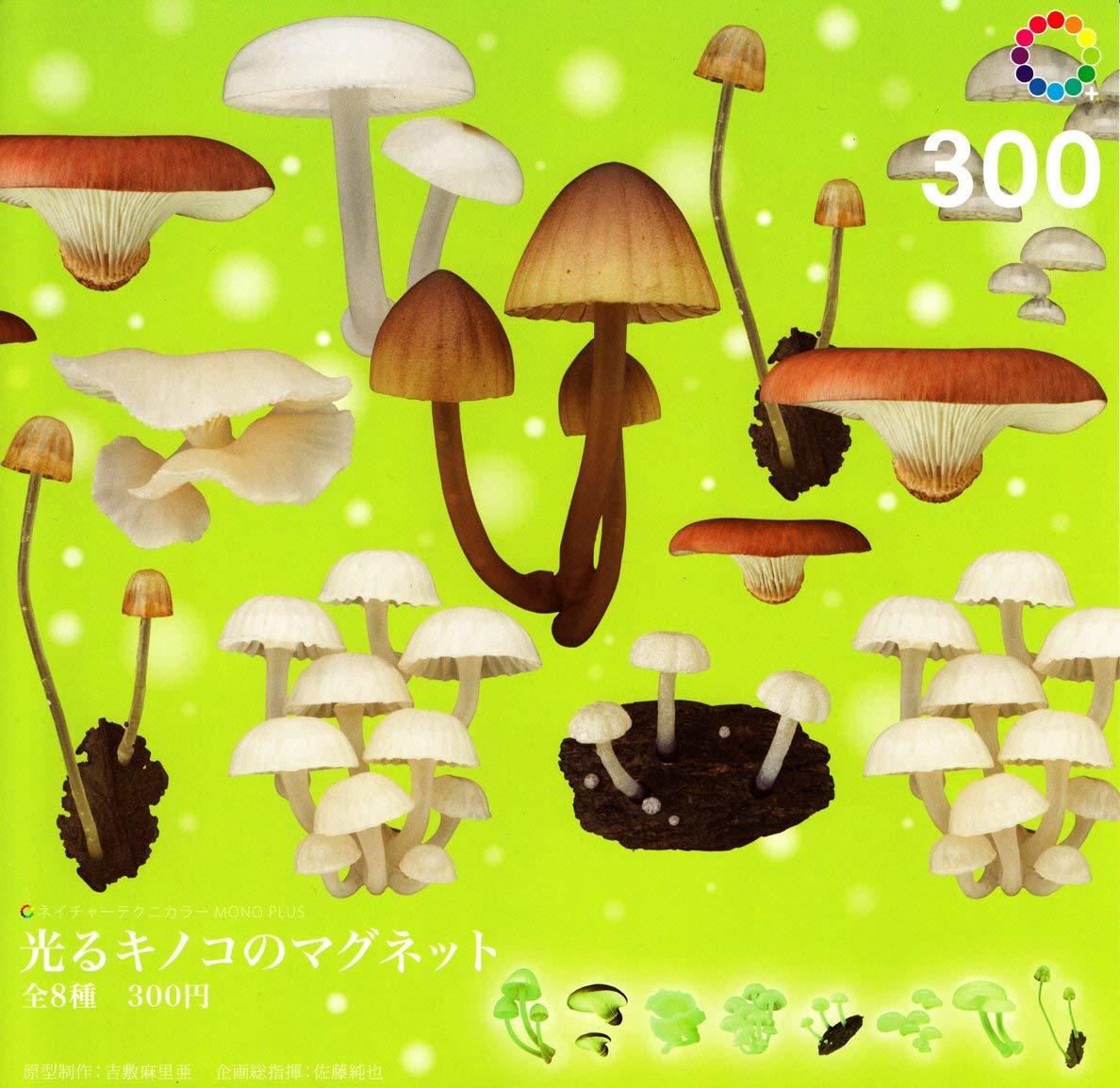 限定価格セール! ネイチャーテクニカラー MONO キノコソフト