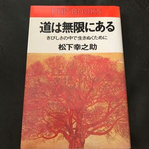 松下幸之助 道は無限にある きびしさの中で生きぬくために PHP BOOKS