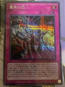 数量3 遊戯王 1入札１枚 運命の囚人 シークレット HISTORY ARCHIVE COLLECTION ヒストリーアーカイブコレクション