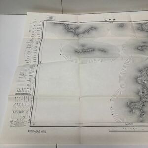古地図 地形図 五万分之一 国土地理院 昭和28年応急修正 昭和29年発行 魚神山 愛媛県