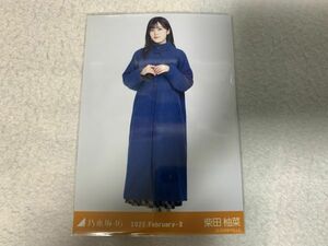 乃木坂46 2022.February-II カラーコート 生写真 柴田柚菜 ヒキ