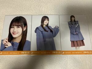 乃木坂46 2022.February-II カラーコート 生写真 伊藤理々杏 3種コンプ