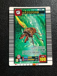 ムシキング　2006セカンド　パーフェクトキング　ムナコブクワガタ　048 美品　管理番号　48