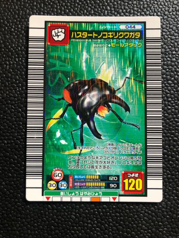 2023年最新】ヤフオク! -ムシキング ハスタートノコギリクワガタの中古