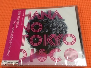 限定 DVD付き マッチョ２９ 華の東京DISCO 廃盤 貴重 レア/コアラ 小嵐/写真集/超新塾/ボディビル/筋肉/超回復ツアー/日体大/ラグビー