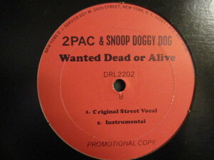 2Pac & Snoop Doggy Dogg ： Wanted Dead Or Alive 12'' c/w 2 Pac - Thug Nature (( West Coast West Side G-Rap GRap G Rap Gang HipHop
