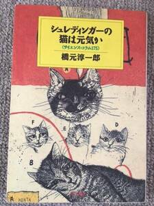 シュレディンガーの猫は元気か　中古良書！！