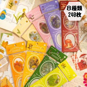 【107】自然イラストシリーズ PET ステッカー 8種類 240枚
