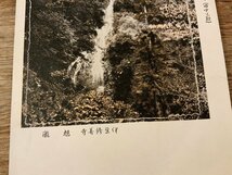 ■送料無料■ 静岡県 伊豆 修善寺 旭瀧 絵葉書 古写真 写真 印刷物/くSIら/FF-1848_画像3