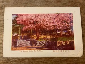 ■送料無料■ 奈良県 吉野山 勝手神社 桜 景色 風景 絵葉書 古写真 写真 印刷物/くSIら/FF-2154