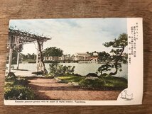 ■送料無料■ 鹿児島県 鴨池公園 景色 風景 絵葉書 古写真 写真 印刷物/くSIら/FF-2245_画像1