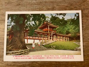 ■送料無料■ 奈良県 春日神社 寺 神社 巫女 建物 建築物 絵葉書 古写真 写真 印刷物/くSIら/FF-2331