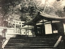 ■送料無料■ 奈良県 春日若宮 寺 神社 建物 建築物 絵葉書 古写真 写真 印刷物/くSIら/FF-2402_画像2