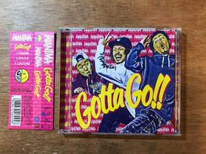 ■送料無料■ WANIMA Gotta Go!! CD 音楽 MUSIC /くKOら/DD-4852