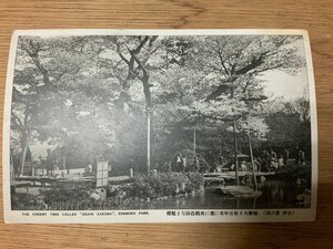 ■送料無料■ 金沢 兼六園 旭桜 桜 庭園 池 日本庭園 石川県 人 風景 景色 絵葉書 写真 印刷物 古写真/くNAら/PP-354