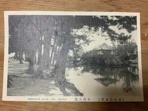 ■送料無料■ 愛知県 名古屋市 中村公園 池 風景 景色 公園 絵葉書 写真 印刷物 古写真/くNAら/PP-505