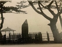 ■送料無料■ 静岡県 三保 羽衣の松 風景 景色 絵葉書 写真 印刷物 古写真/くNAら/PP-582_画像4