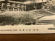 ■送料無料■ 奈良県 春日神社 神社 寺 宗教 建築物 建物 絵葉書 写真 印刷物 古写真/くNAら/PP-584_画像3